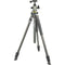 Vanguard Alta Pro 2+ Carbon Fiber Tripod with BH-100 Ball Head