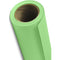 Savage Widetone Seamless Background Paper (#40 Mint Green, 9' x 36')