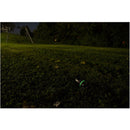 ALPINE ASTRONOMICAL Baader Morpheus 76 17.5mm Eyepiece (1.25"/2")