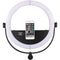 Yongnuo YN508SW Daylight LED Ring Light