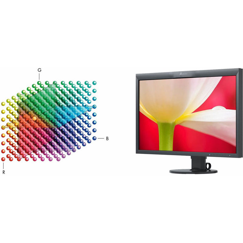 Eizo 31.1" DCI-4K Wide Screen LED Backlight Monitor (Black)