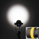Genaray Torpedo Portable Daylight Focusing LED
