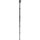 Benro Tripster Travel Tripod (2 Series, Black, Carbon Fiber)