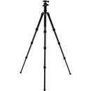 Benro Tripster Travel Tripod (2 Series, Black, Carbon Fiber)