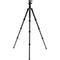Benro Tripster Travel Tripod (2 Series, Black, Carbon Fiber)