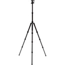 Benro Tripster Travel Tripod (2 Series, Black, Carbon Fiber)