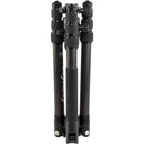 Benro Tripster Travel Tripod (2 Series, Black, Carbon Fiber)