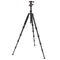 Oben AT-3565 Aluminum Tripod and BZ-217T Triple-Action Ball Head