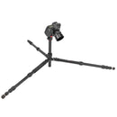 Oben AT-3565 Aluminum Tripod and BZ-217T Triple-Action Ball Head