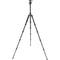 Oben CT-3586 Carbon Fiber Tripod and Triple Action BZ-226T Ball Head