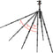 Oben CT-3586 Carbon Fiber Tripod and Triple Action BZ-226T Ball Head