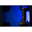 sE Electronics sE2300 Studio Condenser Microphone with Switchable Polar Patterns and Isolation Pack