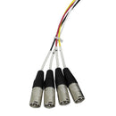 Pro Co Sound StageMASTER 4-Channel XLR Stage Snake (100')