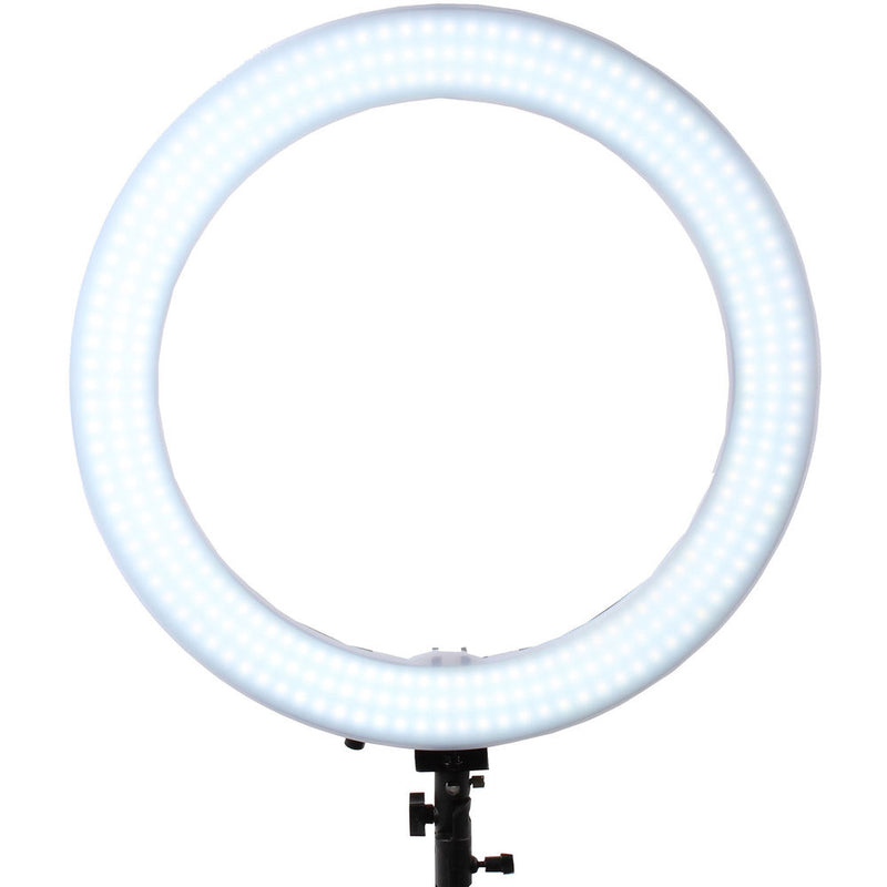 GTX STUDIO 312 LED Ring Light (19")