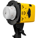 Interfit Badger Unleashed 2-Light Backpack Kit