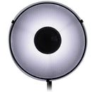FotodioX Pro Beauty Dish Kit with 50-Degree Honeycomb Grid Olympus and Panasonic fFashes (16")