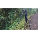 Robus RC-5558 Vantage Series 3 Carbon Fiber Tripod and Oben GH-30 Gimbal Head Kit