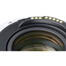 Kenko TELEPLUS HD pro 1.4x DGX Teleconverter for Canon EF