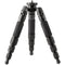 Photo Clam MINI28