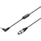 Saramonic SR-XLR35 XLR Female to 3.5mm TRRS Microphone Cable for DSLR Cameras and Smartphones (19.7')