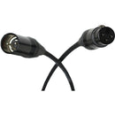 Stage Ninja XLR-21-S Retractable Female XLR Cable Reel (Black, 19')