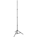 Photogenic StudioMax III Monolight Kit (120V AC/12V DC)