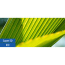 Sony FE 135mm f/1.8 GM Lens with UV Filter Kit