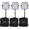 Dracast LED1000 Pro Bi-Color LED 3-Light Kit with Gold Mount Battery Plates and Stands