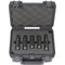 SKB iSeries Sennheiser XSW-D Dual Wireless Audio System Case