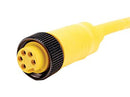 Amphenol SINE/TUCHEL MN54AC01M100 Sensor Cord 7/8" RCPT-FREE END 32.8