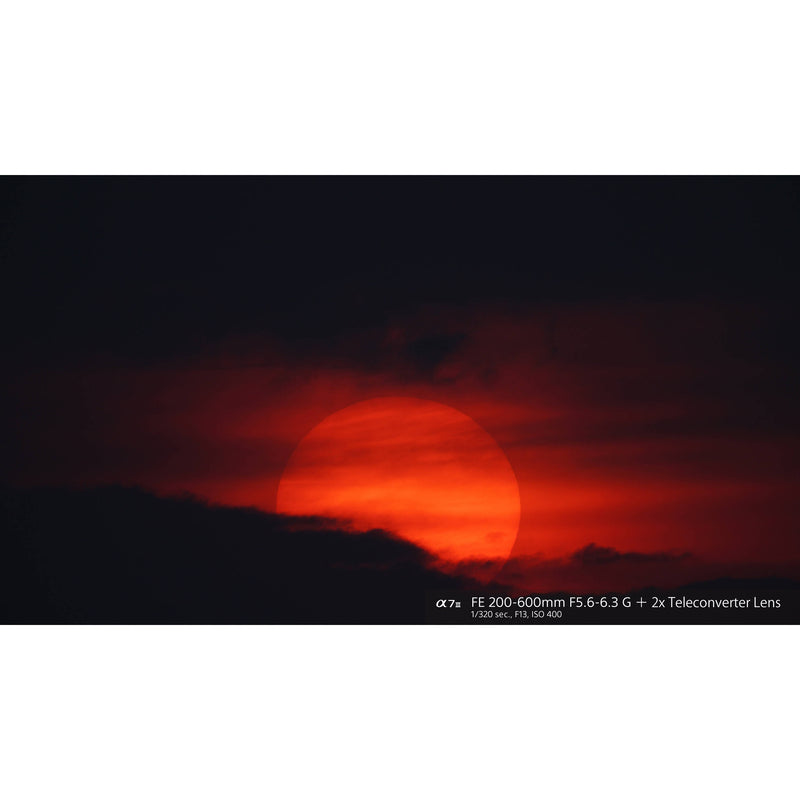 Sony FE 200-600mm f/5.6-6.3 G OSS Lens