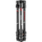 Manfrotto Befree GT XPRO Carbon Fiber Travel Tripod with 496 Center Ball Head