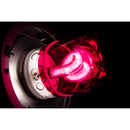 Flashgels Creative Color Gel Kit for Godox AD600 and Flashpoint Xplor 600 Strobes