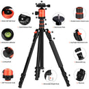 GEEKOTO AT24Pro Dreamer 77" Aluminum Tripod