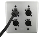 SoundTools WallCAT FX-S Wall Plate with Four XLR 3-Pin Female Connectors (Silver)