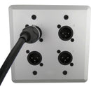 SoundTools WallCAT MX-S Wall Plate with Four XLR 3-Pin Male Connectors (Silver)