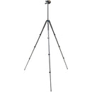 Slik Sprint Pro III Tripod with SH-704E 3-Way Pan Head (Matte Black)