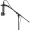 Polsen RM-800 Large-Diaphragm Condenser Microphone (Black)