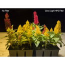Hoya 62mm HPS Grow Light Filter Kit