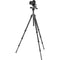 Gitzo GT2542 Mountaineer Series 2 Carbon Fiber Tripod with GHF3W 3-Way Fluid Head Kit