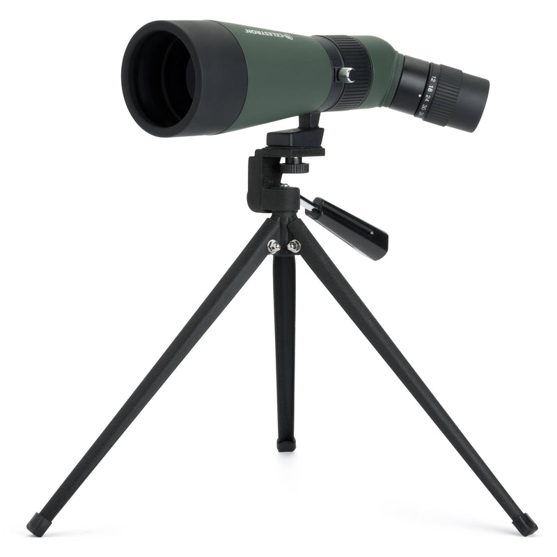 Celestron LandScout 12-36x60 Spotting Scope Digiscope Kit (Angled Viewing)
