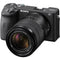 Sony Alpha a6600 Mirrorless Digital Camera (Body Only)