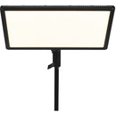 Yongnuo YN256 LED Video Light
