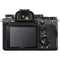 Sony Alpha a9 II Mirrorless Digital Camera (Body Only)