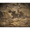 Click Props Backdrops Ancient Wall Backdrop (8 x 9.84')