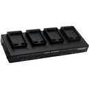 Dolgin Engineering Four-Position Charger for Fuji NP-W126S Batteries with Diagnostics Display