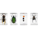 Celestron 3D Bug Specimen Kit