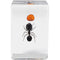 Celestron 3D Bug Specimen Kit