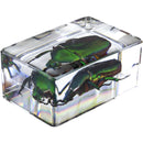 Celestron 3D Bug Specimen Kit