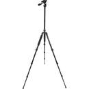 Celestron Hummingbird Compact Tripod with Pan/Tilt Head